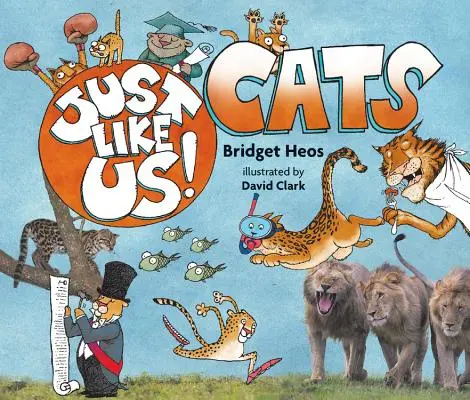 La fel ca noi! Pisicile - Just Like Us! Cats
