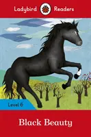 Frumoasa neagră: Nivelul 6 - Black Beauty: Level 6