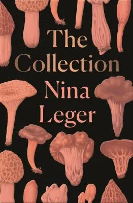 Colecția - The Collection