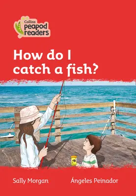 Nivelul 5 - Cum prind un pește? - Level 5 - How do I catch a fish?