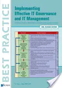 Implementarea unei guvernanțe și a unui management informatic eficace - Implementing Effective It Governance and It Management