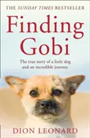 Finding Gobi (ediția principală) - Povestea adevărată a unui cățeluș și a unei călătorii incredibile - Finding Gobi (Main edition) - The True Story of a Little Dog and an Incredible Journey
