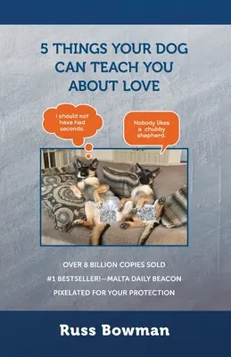 5 lucruri pe care câinele tău te poate învăța despre iubire - 5 Things Your Dog Can Teach You About Love