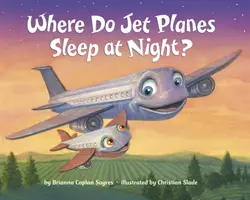 Unde dorm noaptea avioanele cu reacție? - Where Do Jet Planes Sleep at Night?