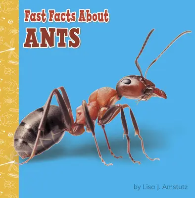 Informații rapide despre furnici - Fast Facts about Ants