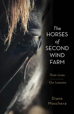 Caii de la ferma Second Wind: Viețile lor - Lecțiile noastre - The Horses of Second Wind Farm: Their Lives - Our Lessons