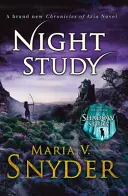 Studiul nopții - Night Study