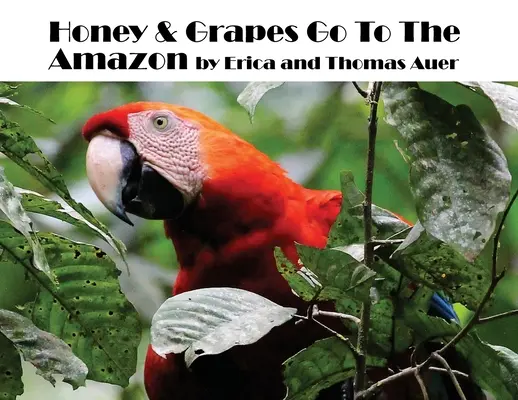 Mierea și strugurii merg pe Amazon - Honey & Grapes Go To The Amazon