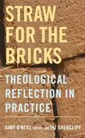 Paie pentru cărămizi: Reflecția teologică în practică - Straw for the Bricks: Theological Reflection in Practice