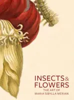 Insecte și flori: Arta Mariei Sibylla Merian - Insects and Flowers: The Art of Maria Sibylla Merian