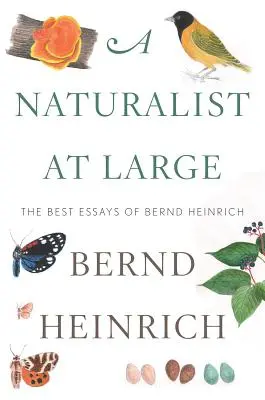 Un naturalist în libertate: Cele mai bune eseuri ale lui Bernd Heinrich - A Naturalist at Large: The Best Essays of Bernd Heinrich