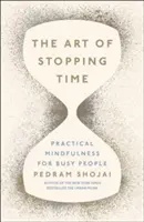 Arta de a opri timpul - Art of Stopping Time