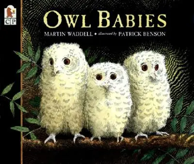 Bebelușii bufniță - Owl Babies