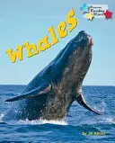 Balene - Whales