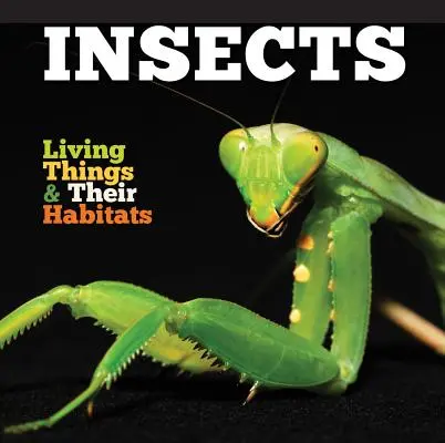 Insecte - Insects