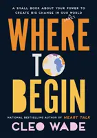 De unde să începi - O mică carte despre puterea ta de a crea schimbări mari în lumea noastră nebună - Where to Begin - A Small Book about Your Power to Create Big Change in Our Crazy World