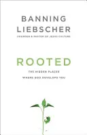 Înrădăcinat: Locurile ascunse în care Dumnezeu te dezvoltă - Rooted: The Hidden Places Where God Develops You