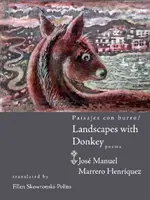 Peisaje cu măgar - Landscapes with Donkey