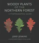 Plante lemnoase din pădurea de nord: Un ghid fotografic - Woody Plants of the Northern Forest: A Photographic Guide