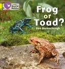Broască sau broască? - Frog or Toad?