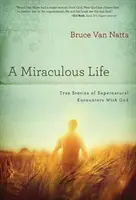 O viață miraculoasă: Povești adevărate de întâlniri supranaturale cu Dumnezeu - A Miraculous Life: True Stories of Supernatural Encounters with God