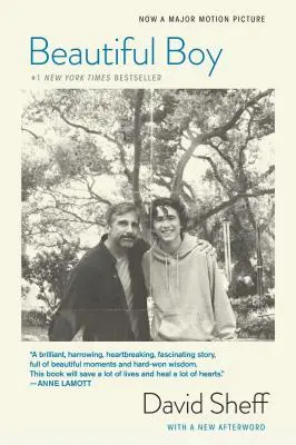 Beautiful Boy (Tie-In): Călătoria unui tată prin dependența fiului său (A Father's Journey Through His Son's Addiction) - Beautiful Boy (Tie-In): A Father's Journey Through His Son's Addiction