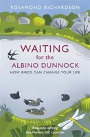 În așteptarea Dunnock-ului albinos: Cum păsările îți pot schimba viața - Waiting for the Albino Dunnock: How Birds Can Change Your Life