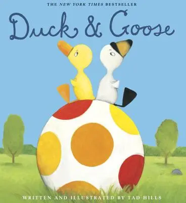 Rață și gâscă - Duck & Goose