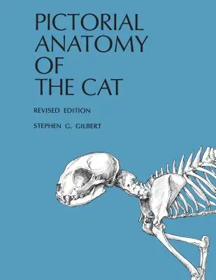 Anatomia picturală a pisicii - Pictorial Anatomy of the Cat