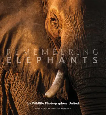 Amintirea elefanților - Remembering Elephants