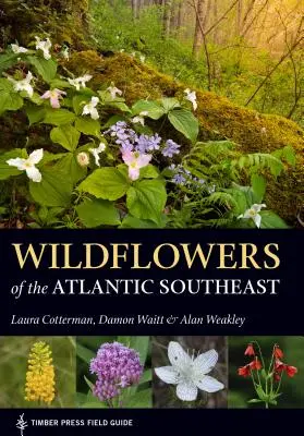 Flori sălbatice din sud-estul Atlanticului - Wildflowers of the Atlantic Southeast