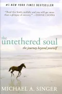 The Untethered Soul: Călătoria dincolo de tine însuți - The Untethered Soul: The Journey Beyond Yourself