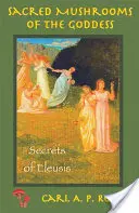 Ciuperci sacre: Secretele din Eleusis - Sacred Mushrooms: Secrets of Eleusis
