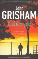 Calico Joe - Un roman de neuitat despre copilărie, familie, conflict și vinovăție, precum și despre iertare - Calico Joe - An unforgettable novel about childhood, family, conflict and guilt, and forgiveness