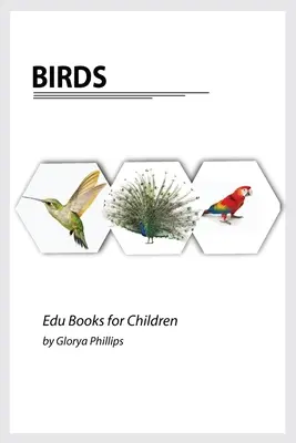 Păsări: Carte Montessori cu păsări reale, biți de inteligență pentru bebeluși și copii mici, carte pentru copii, resurse de învățare. - Birds: Montessori real birds book, bits of intelligence for baby and toddler, children's book, learning resources.