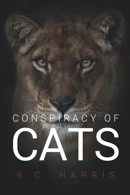 Conspirația pisicilor - Conspiracy of Cats