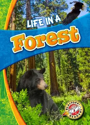 Viața într-o pădure - Life in a Forest