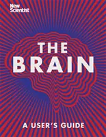 Creierul - Tot ce trebuie să știți - Brain - Everything You Need to Know