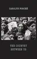 Țara dintre noi - Country Between Us