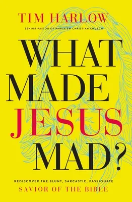 Ce l-a înfuriat pe Iisus?*: Redescoperă Mântuitorul direct, sarcastic și pasionat al Bibliei - What Made Jesus Mad?*: Rediscover the Blunt, Sarcastic, Passionate Savior of the Bible