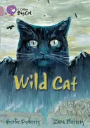 Pisica sălbatică - Wild Cat