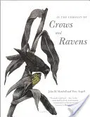 În compania ciorilor și a corbilor - In the Company of Crows and Ravens