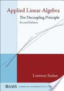 Algebră liniară aplicată - Principiul decuplajului - Applied Linear Algebra - The Decoupling Principle