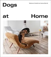 Câini acasă - Dogs at Home