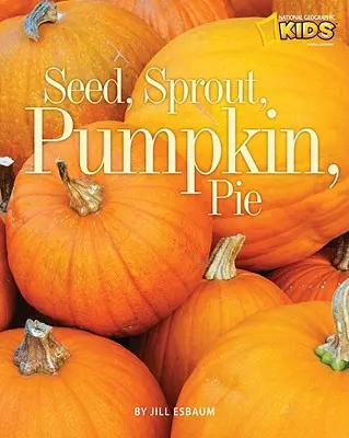 Sămânță, germeni, dovleac, plăcintă - Seed, Sprout, Pumpkin, Pie