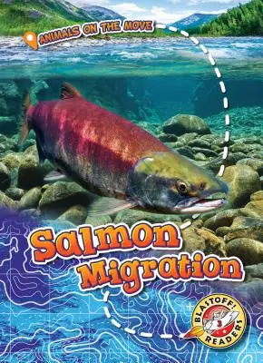 Migrația somonului - Salmon Migration