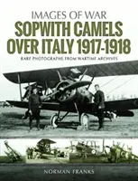 Sopwith Camels deasupra Italiei, 1917-1918 - Sopwith Camels Over Italy, 1917-1918