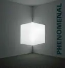 Fenomenal: California: Lumină, spațiu, suprafață - Phenomenal: California Light, Space, Surface