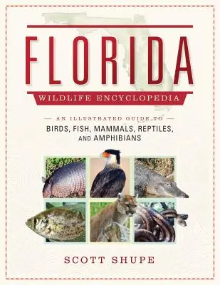 Enciclopedia faunei sălbatice din Florida: Un ghid ilustrat al păsărilor, peștilor, mamiferelor, reptilelor și amfibienilor - Florida Wildlife Encyclopedia: An Illustrated Guide to Birds, Fish, Mammals, Reptiles, and Amphibians