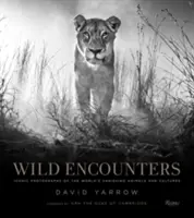 Wild Encounters: Fotografii iconice ale animalelor și culturilor pe cale de dispariție din lume - Wild Encounters: Iconic Photographs of the World's Vanishing Animals and Cultures